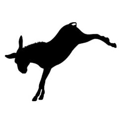 Donkeytown Press logo